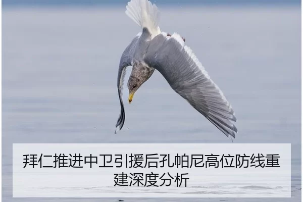 拜仁推进中卫引援后孔帕尼高位防线重建深度分析